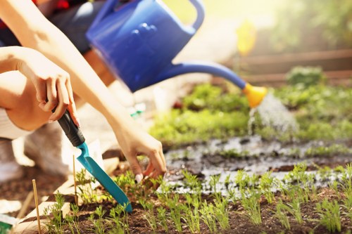 Gardener working in a Notting Hill courtyard
