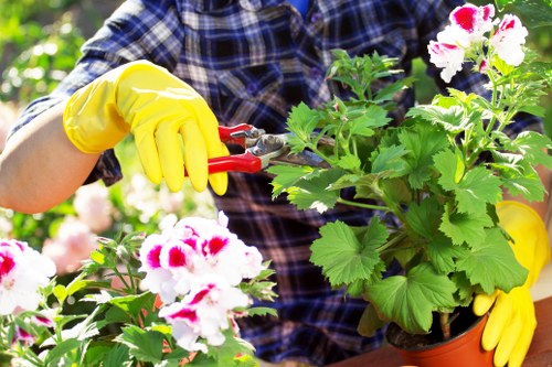 Beautiful Notting Hill garden showcasing vibrant flowers and lush greenery