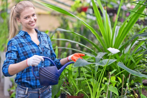 Gardener in a Notting Hill garden preparing beds with clear pathways for accessibility