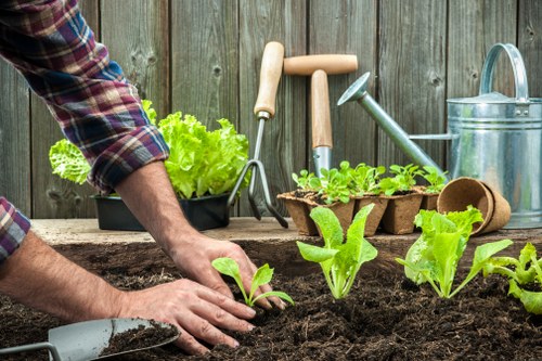 Gardener inspecting a Notting Hill garden, close-up of tools