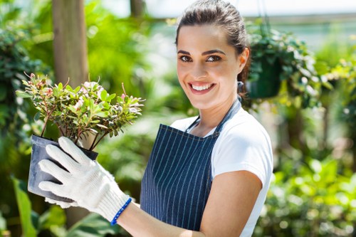 Gardener Notting Hill team at work in a residential garden