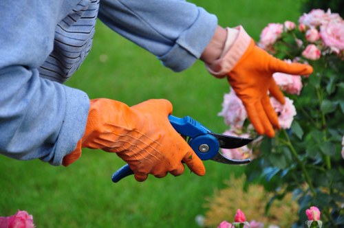 Choosing the right lawn mowing service in Notting Hill
