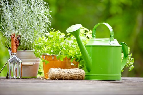 Beautifully maintained Notting Hill garden by Gardener Notting Hill